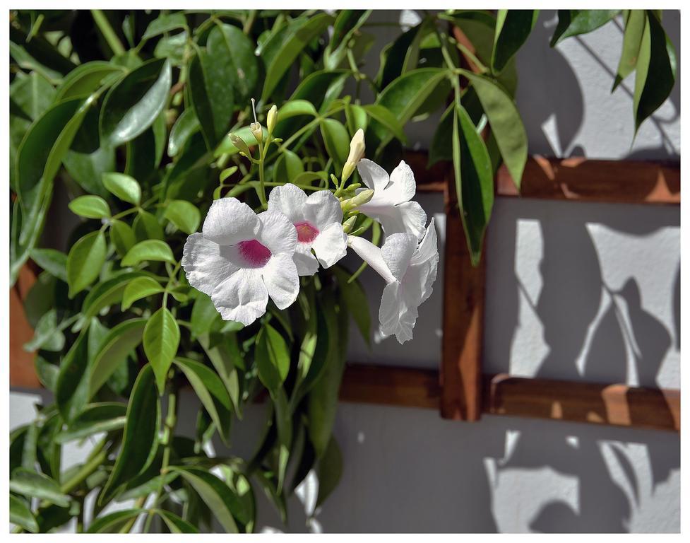 Apartamento Con Terraza Privada *