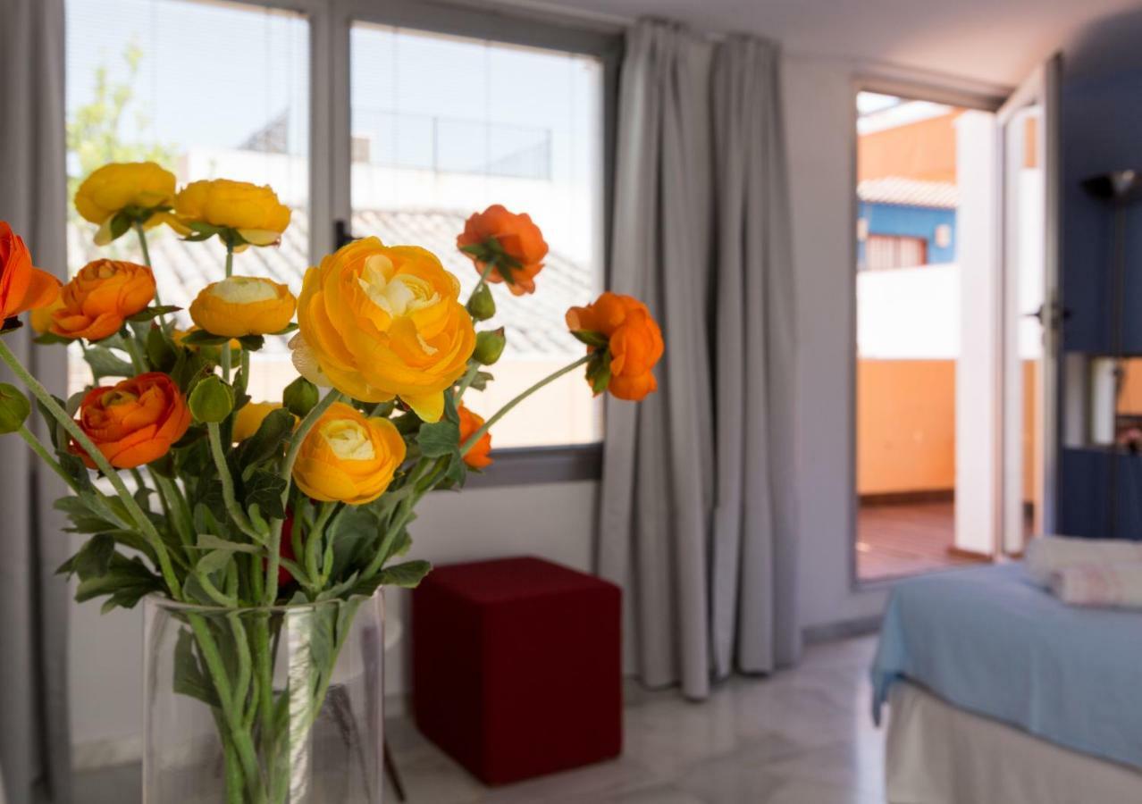 Apartamento Con Terraza Privada